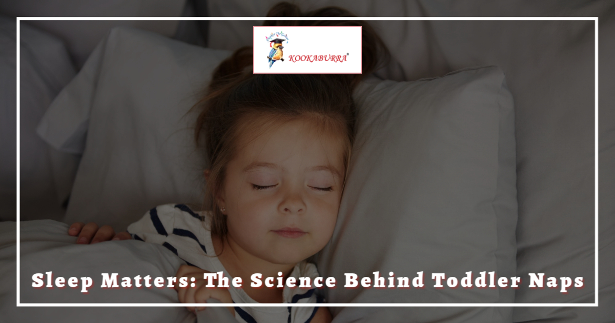 Sleep Matters: The Science Behind Toddler Naps